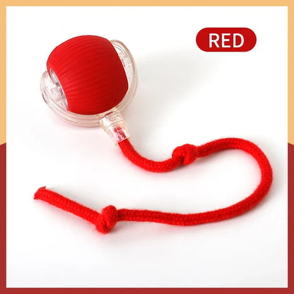 Smart Cat Toys Automatic Rolling Ball Fake Tail Rechargeable Electric Pet Interactive Toy Dog Cat Training Imitate Mouse Tail